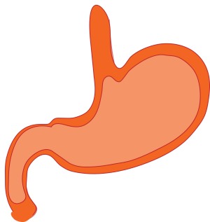 胃部彩超和胃镜的区别是什么